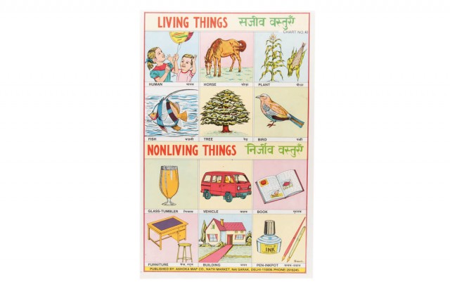 Living Things-Nonliving Things